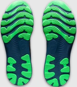 Discount Gel-Nimbus 24 Mens Men Run
