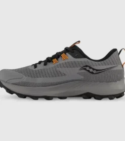 Best Sale Peregrine 13 Gore-Tex Mens Men Trail Run