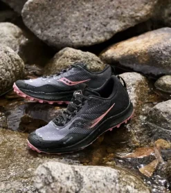 Fashion Peregrine 12 Gore-Tex Womens Women Trail Run