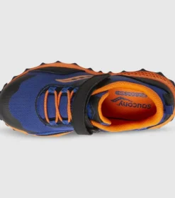Flash Sale Peregrine 12 Shield (Ps) Kids Kids Run